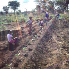 Kids admiring their fully sprouted garden crops