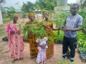 Moringa plants given to community members