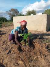 Planting in the community garden