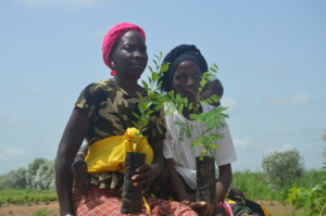 Women taking saplings home to plant