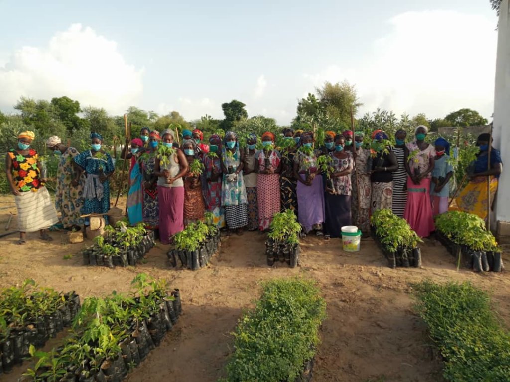 Women with the saplings to be planted