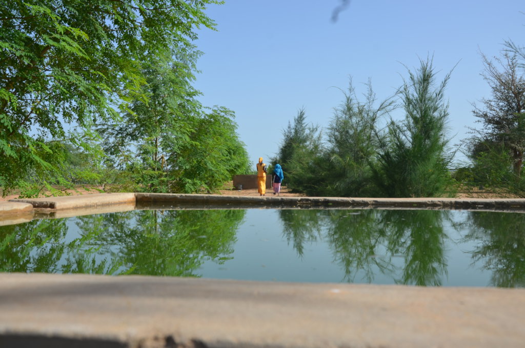 Greening the desert