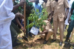 Government officials planting trees