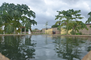 Trees reflected in the water in Keur Ndiouga