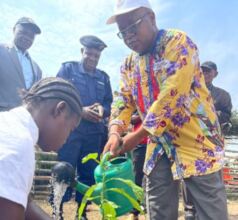 Symbolic tree planting in Manzikala school