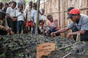 Pupils learning about planting seedlings