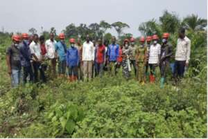 Brigade that fights bush fires threatening trees