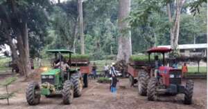 Nursery situated among remnant of former forest