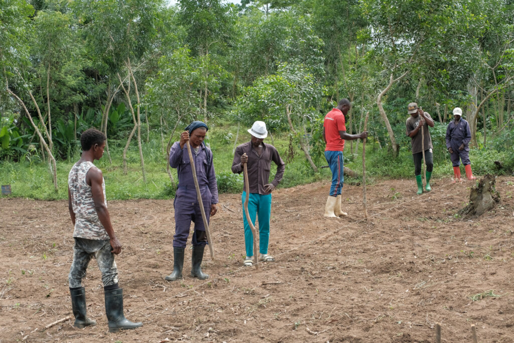 Sensitisation on tree planting