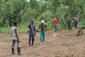 Sensitisation on tree planting