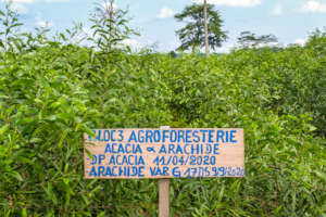 Demonstration farm