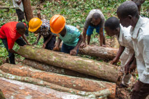 Training charcoal producers