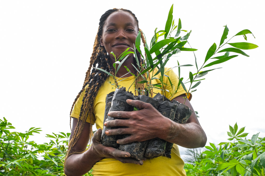 A million trees to energize DR Congo's rainforest