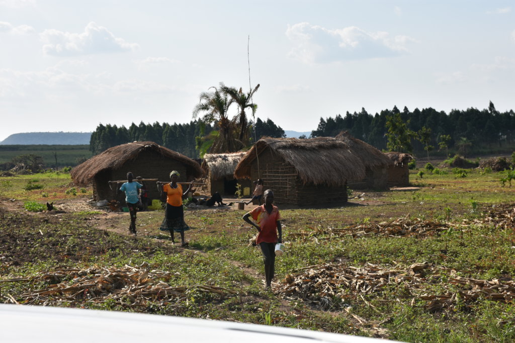 Restore Hope to Child-Headed Families in Uganda