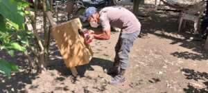 Constructing nest boxes