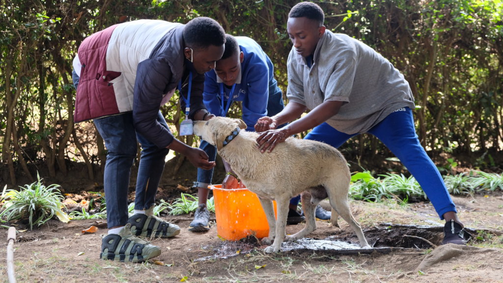 Empower 100 Tanzanian Youth through Education