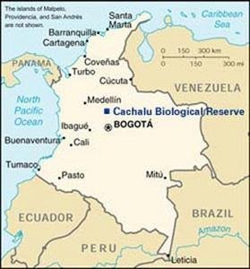 Adopt Oak Forest in the Tropical Andes