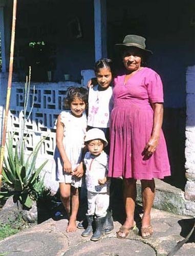 Adopt Oak Forest in the Tropical Andes