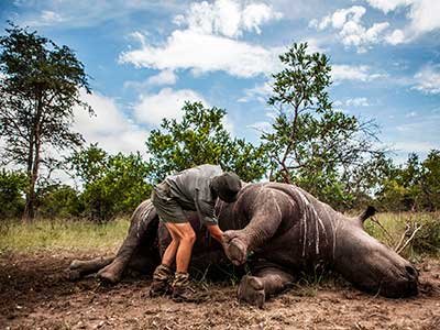 FIGHTING POACHING - SAVING RHINO