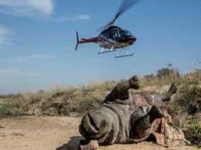 Investigating Rhino Poaching Scene