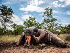 Conducting Poaching Investigations