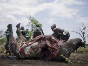 Conducting Poaching Investigations