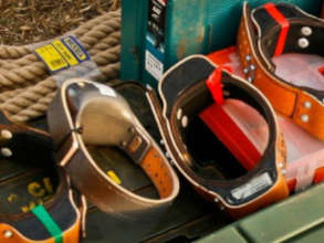Equipment - Dog Collars