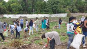 Plantation drive