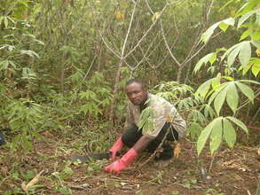 Working the Plantation