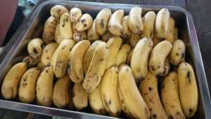 Bananas  are respectable sources of vitamin C.