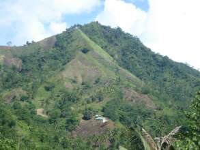 Field assessment