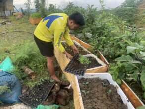 promoting mixed crops