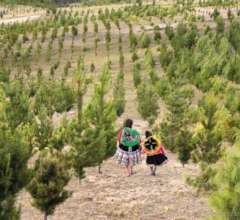 Familias campesinas