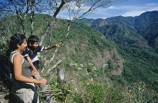 Save El Salvador's Last Expanse of Rainforest