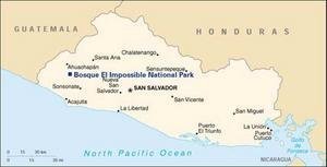 Save El Salvador's Last Expanse of Rainforest