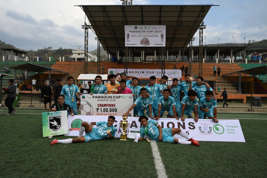Play for Pangolin