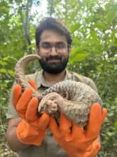 Play for Pangolin