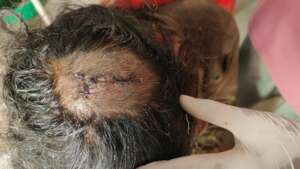 Recovered and grateful after receiving timely care