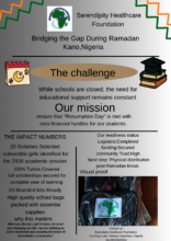 Brief Infographics