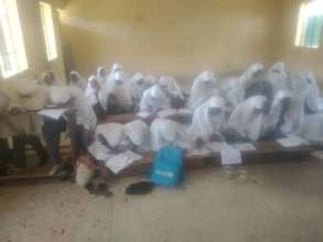 Our Girls in Class