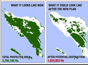 The planned destruction of 1.2 million hectares