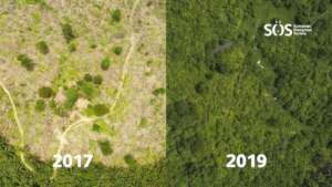 Before and after rewilding at Cinta Raja