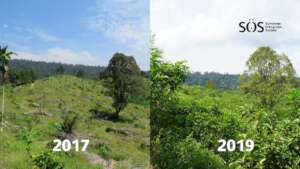 The effects of just two years of rewilding