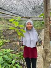 Working in the tree nursery