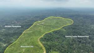 The site focuses on 150 hectares of degraded land