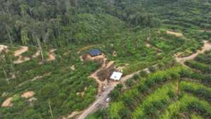 Aerial view of the restoration area in Tenggulun