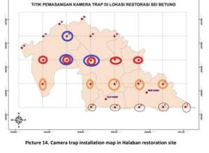 map of new camera traps