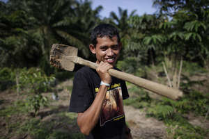 Community tree planting scheme