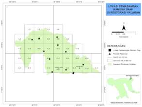 where is halaban and where are camera traps?