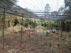 Nursery Construction